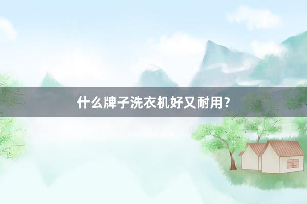 什么牌子洗衣机好又耐用？